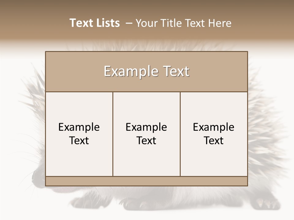 Needle Young Animal Wildlife PowerPoint Template