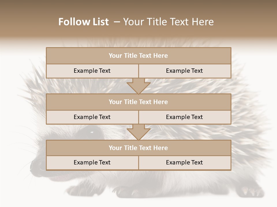 Needle Young Animal Wildlife PowerPoint Template