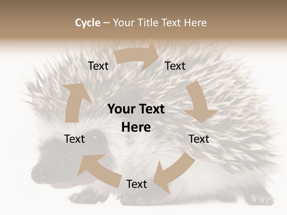 Needle Young Animal Wildlife PowerPoint Template