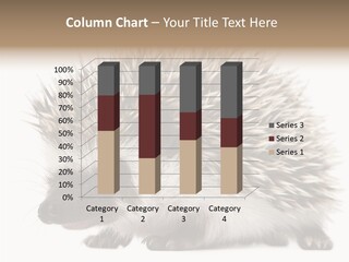 Needle Young Animal Wildlife PowerPoint Template