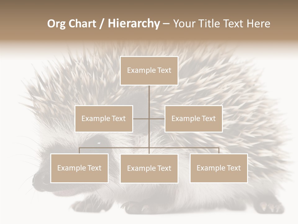 Needle Young Animal Wildlife PowerPoint Template
