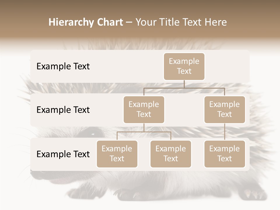 Needle Young Animal Wildlife PowerPoint Template