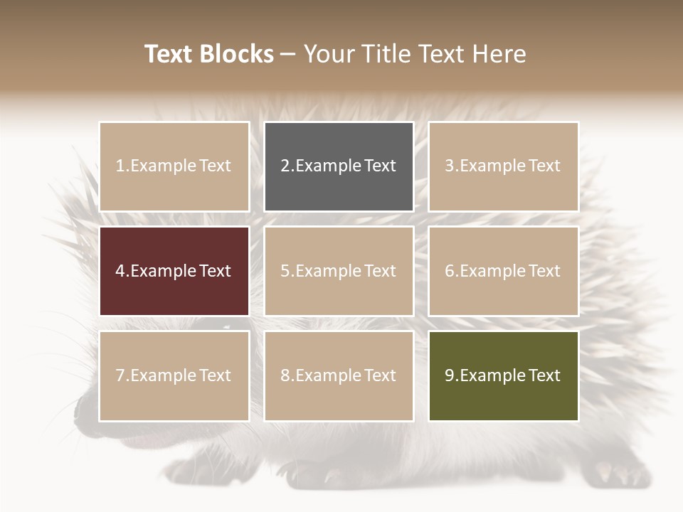 Needle Young Animal Wildlife PowerPoint Template