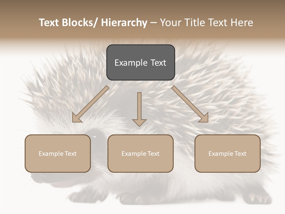 Needle Young Animal Wildlife PowerPoint Template