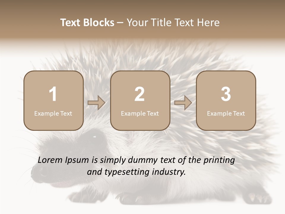 Needle Young Animal Wildlife PowerPoint Template