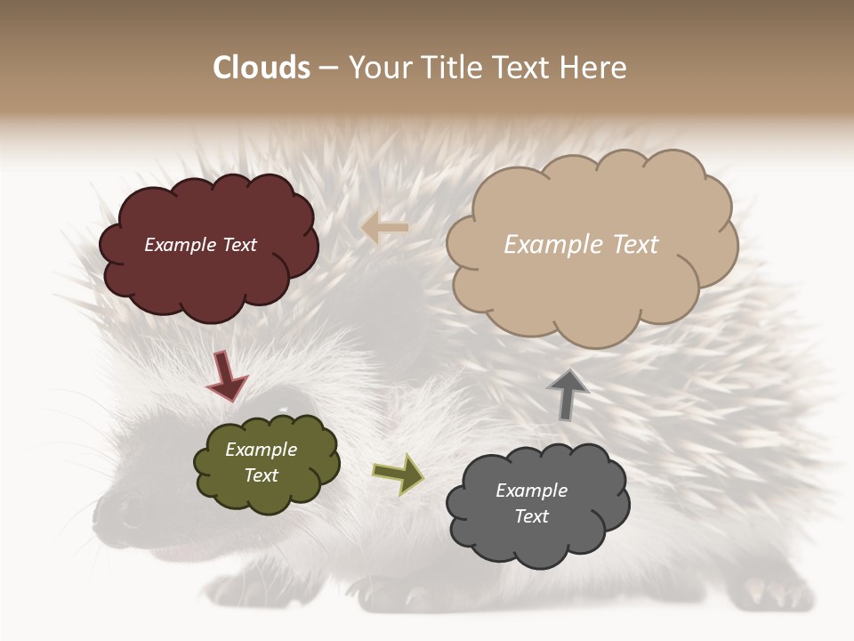 Needle Young Animal Wildlife PowerPoint Template
