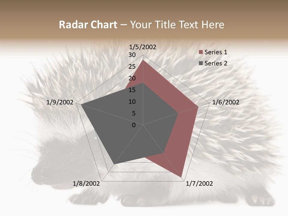 Needle Young Animal Wildlife PowerPoint Template