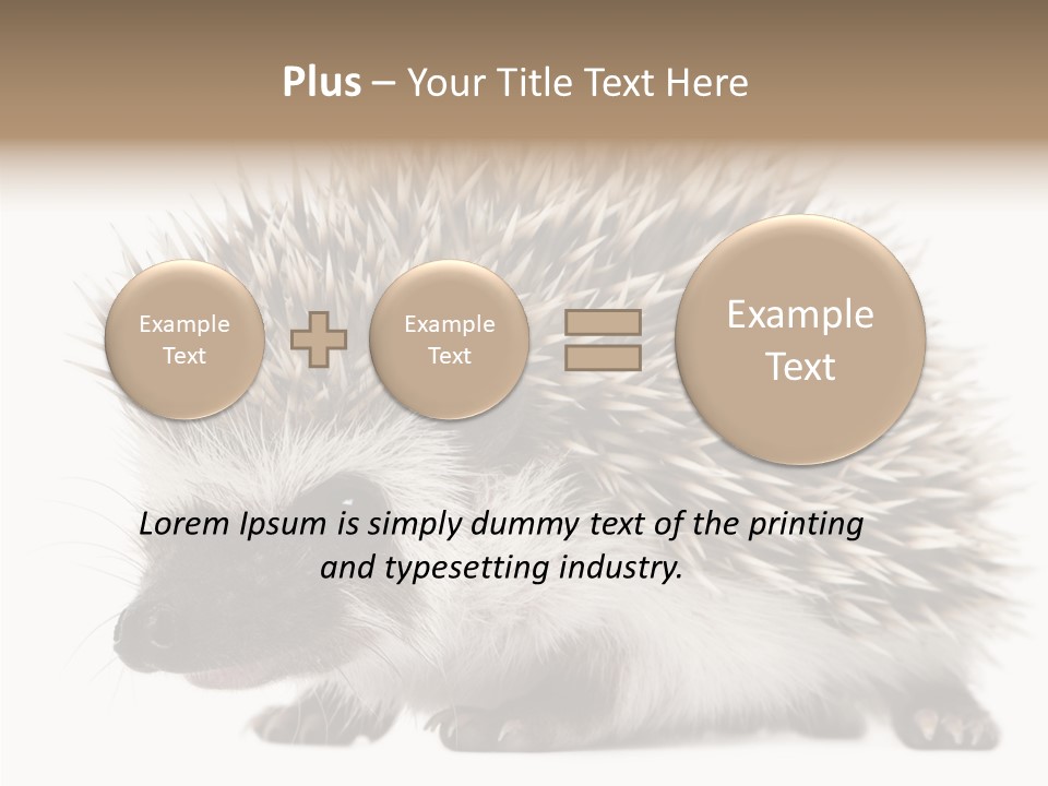 Needle Young Animal Wildlife PowerPoint Template