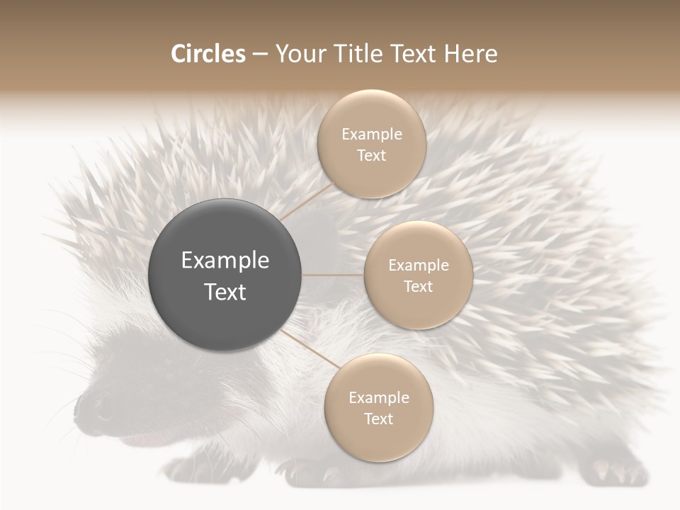 Needle Young Animal Wildlife PowerPoint Template