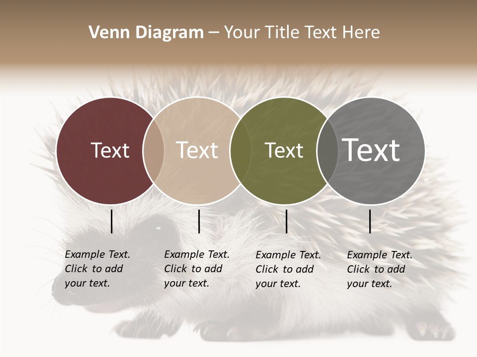 Needle Young Animal Wildlife PowerPoint Template