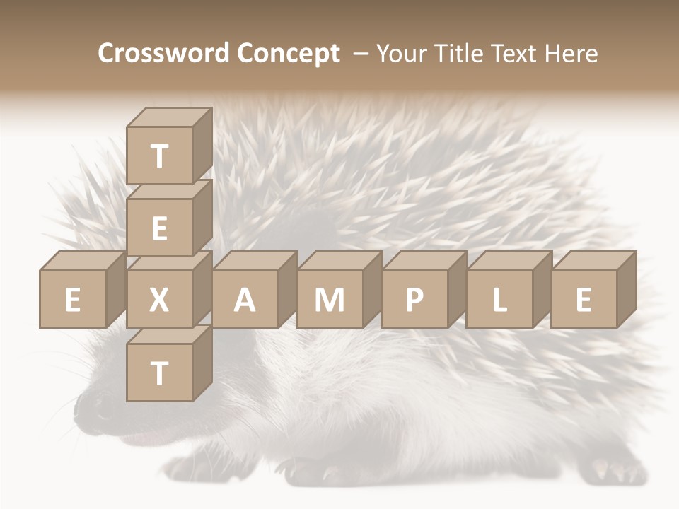 Needle Young Animal Wildlife PowerPoint Template