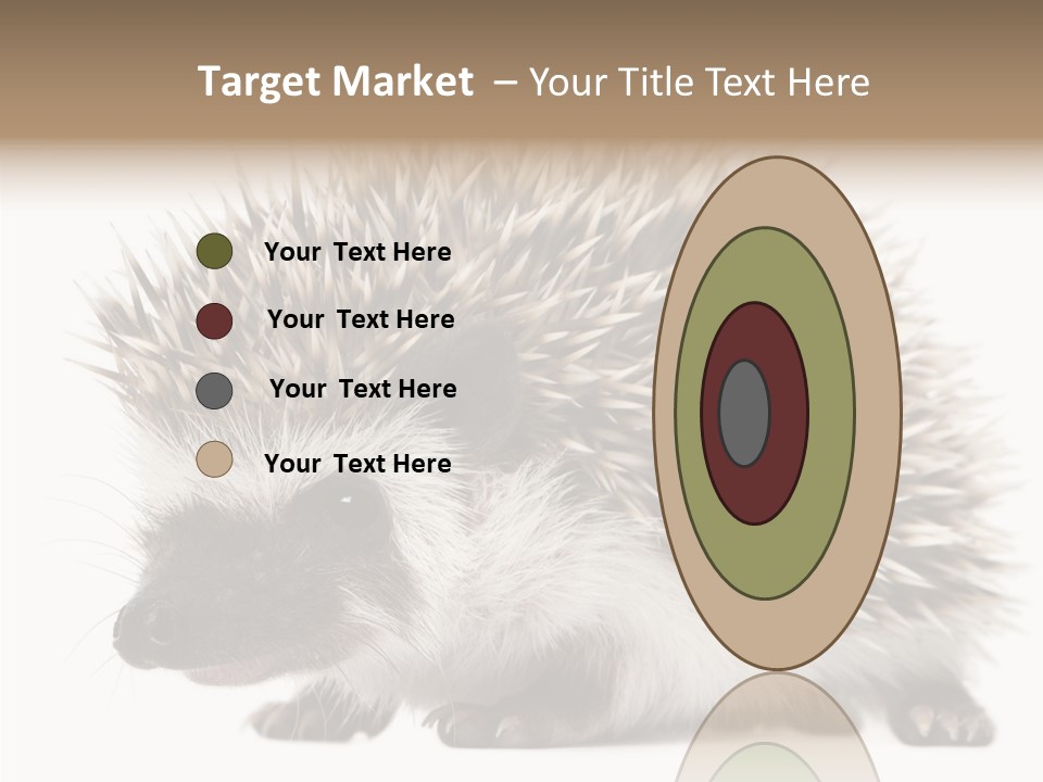 Needle Young Animal Wildlife PowerPoint Template