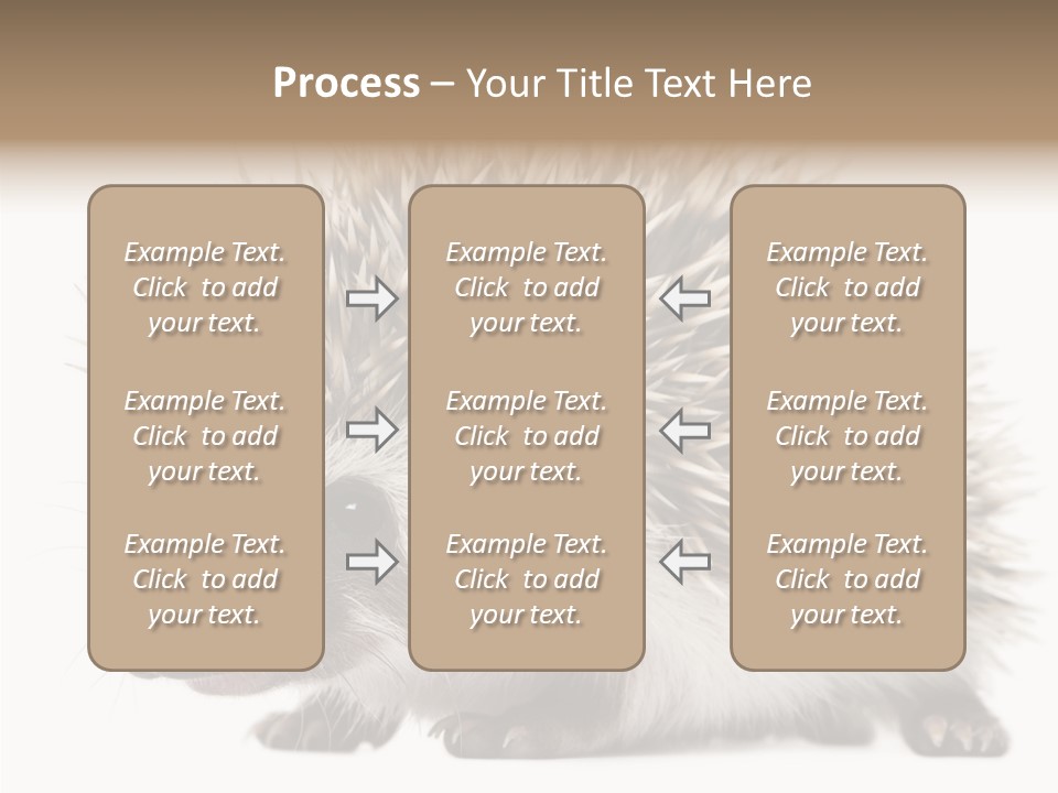 Needle Young Animal Wildlife PowerPoint Template