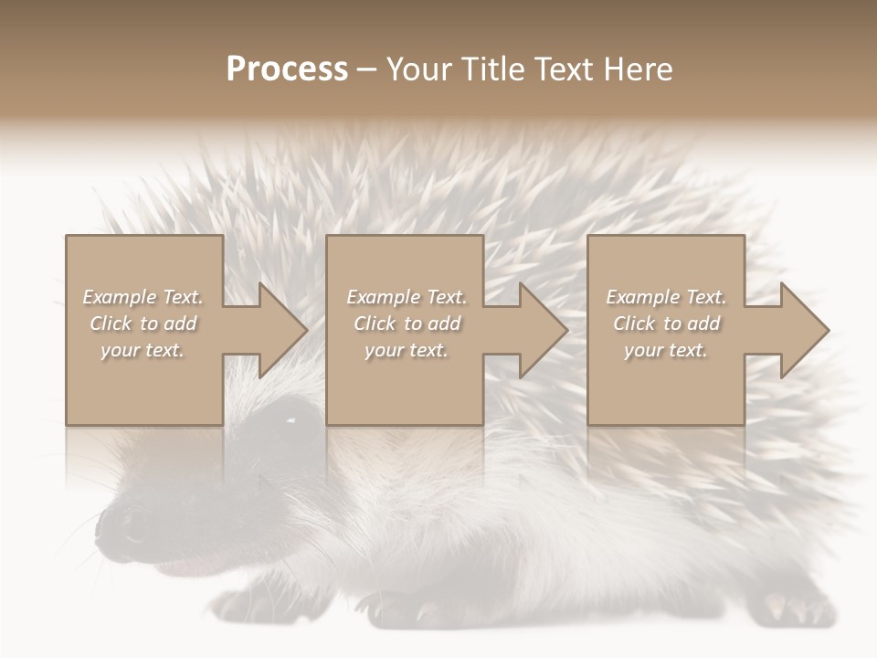 Needle Young Animal Wildlife PowerPoint Template