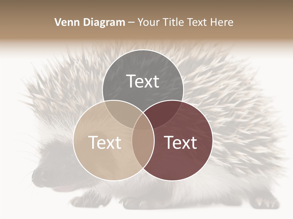 Needle Young Animal Wildlife PowerPoint Template