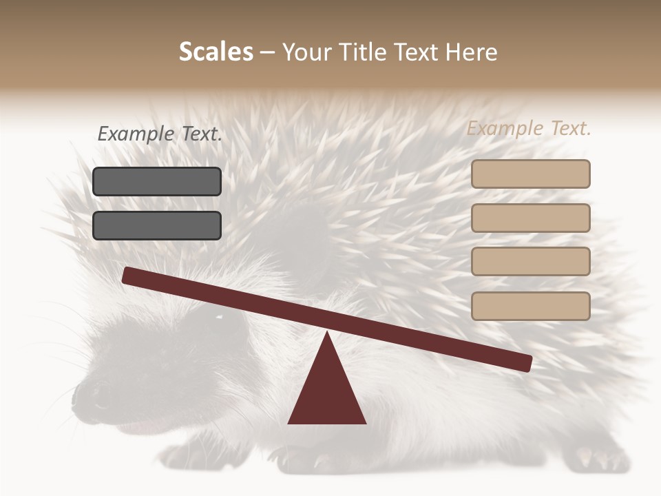Needle Young Animal Wildlife PowerPoint Template