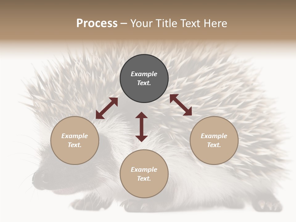 Needle Young Animal Wildlife PowerPoint Template