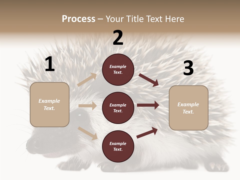 Needle Young Animal Wildlife PowerPoint Template