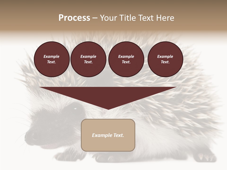 Needle Young Animal Wildlife PowerPoint Template