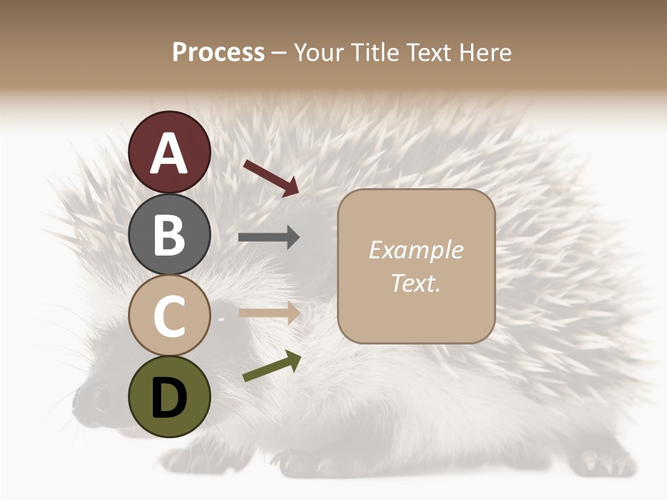 Needle Young Animal Wildlife PowerPoint Template
