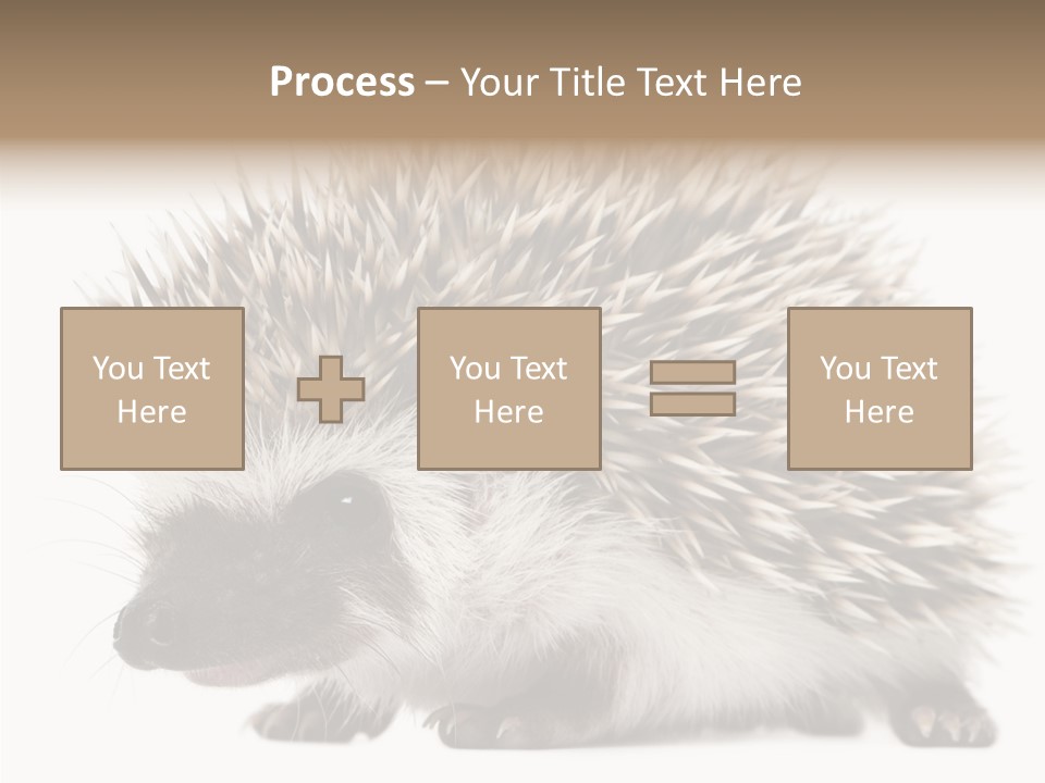 Needle Young Animal Wildlife PowerPoint Template