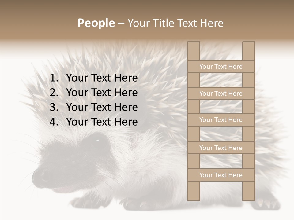 Needle Young Animal Wildlife PowerPoint Template