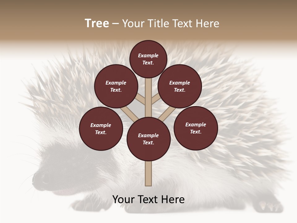 Needle Young Animal Wildlife PowerPoint Template