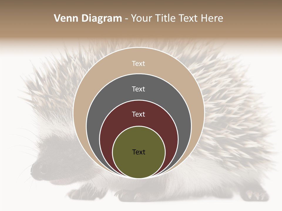 Needle Young Animal Wildlife PowerPoint Template