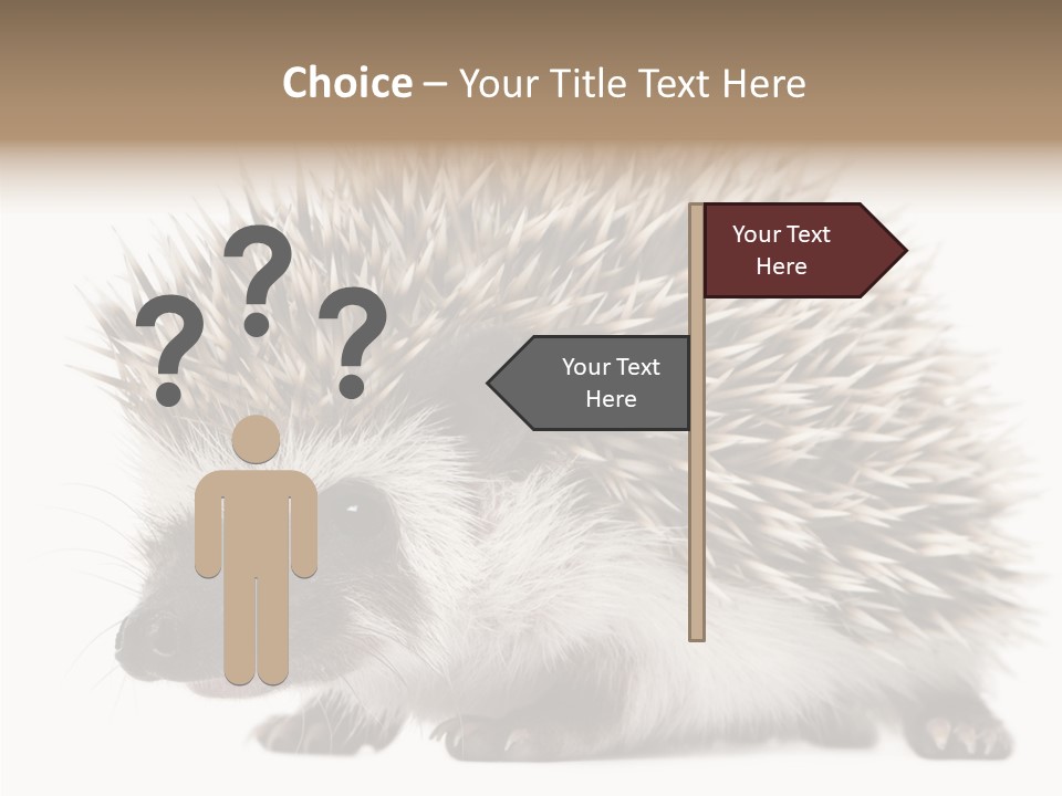 Needle Young Animal Wildlife PowerPoint Template