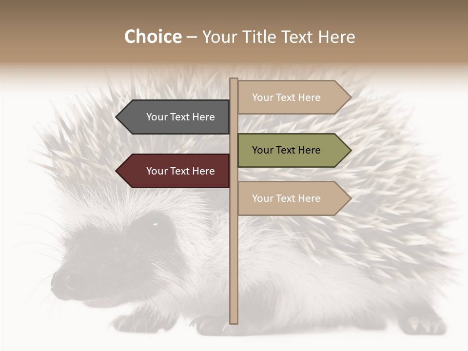 Needle Young Animal Wildlife PowerPoint Template