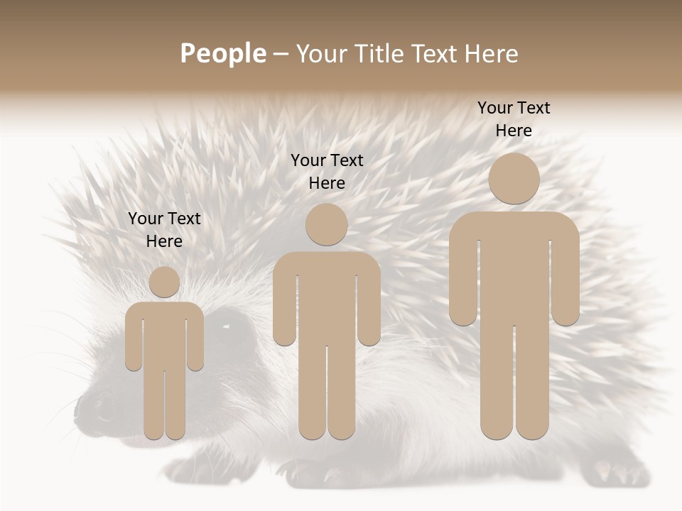 Needle Young Animal Wildlife PowerPoint Template