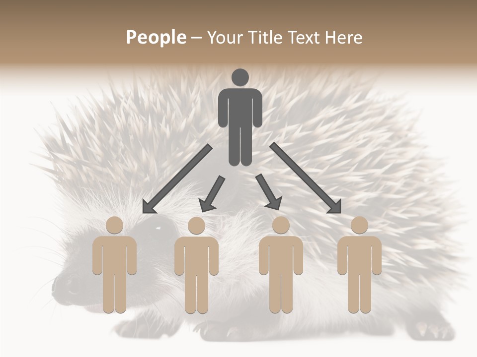 Needle Young Animal Wildlife PowerPoint Template