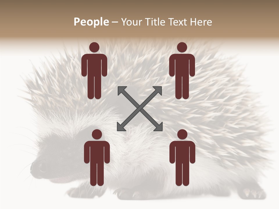 Needle Young Animal Wildlife PowerPoint Template