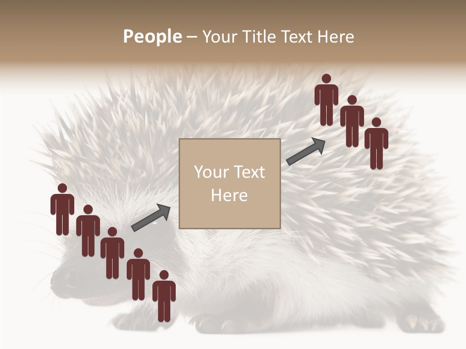 Needle Young Animal Wildlife PowerPoint Template