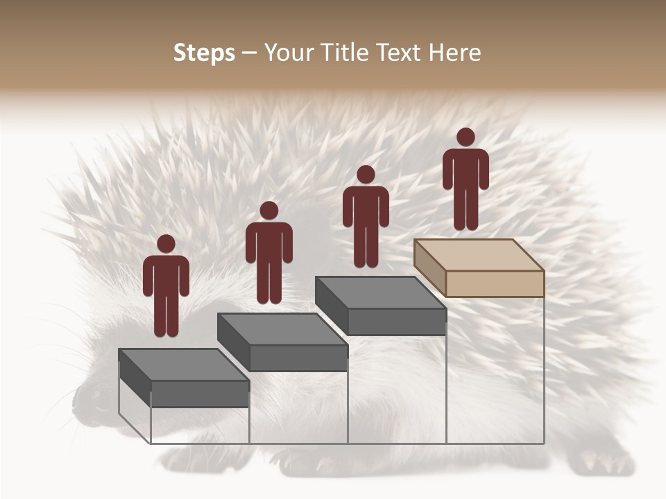 Needle Young Animal Wildlife PowerPoint Template