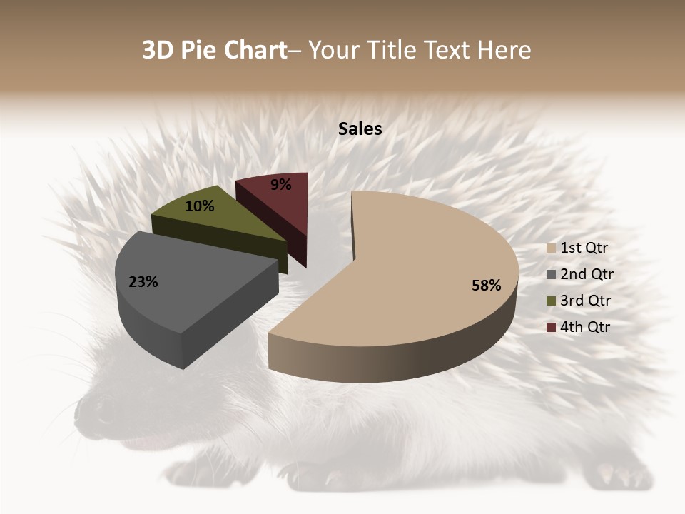 Needle Young Animal Wildlife PowerPoint Template