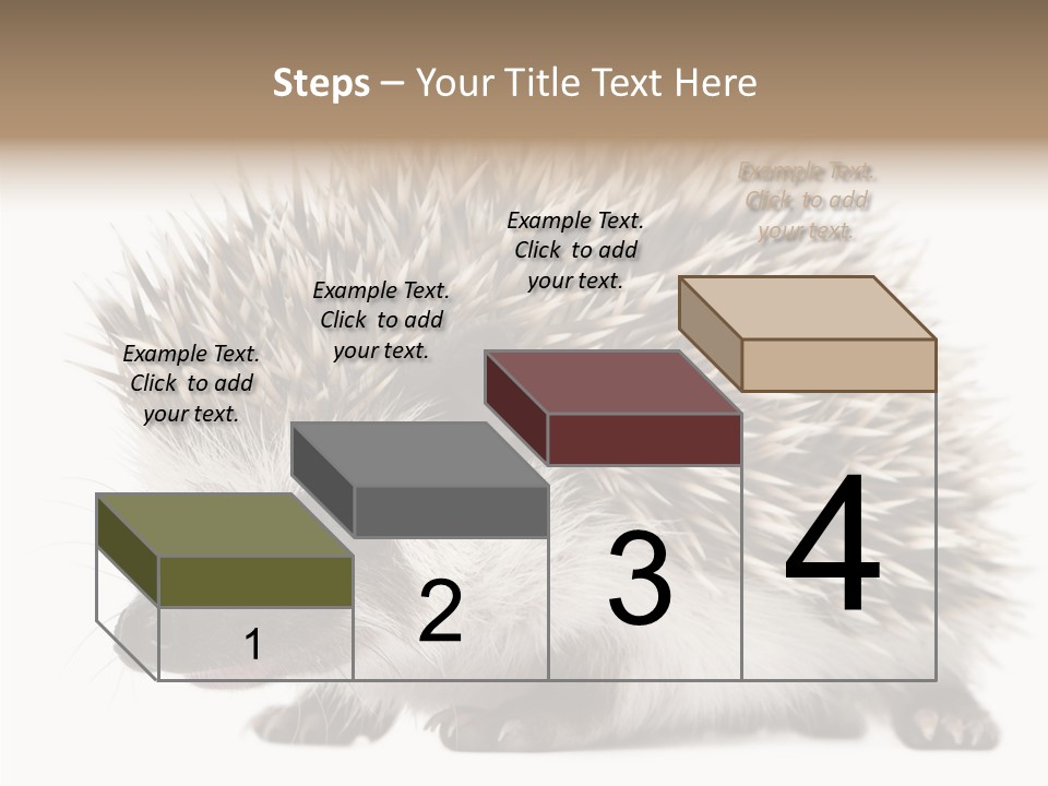 Needle Young Animal Wildlife PowerPoint Template