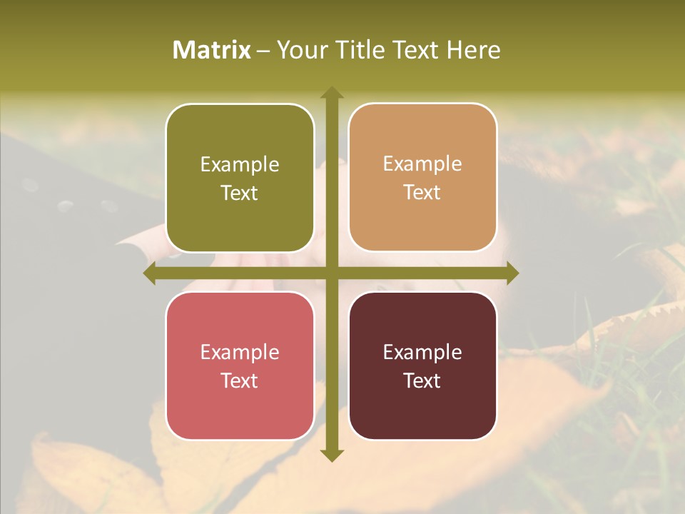 Lifestyles Clothing Maple PowerPoint Template