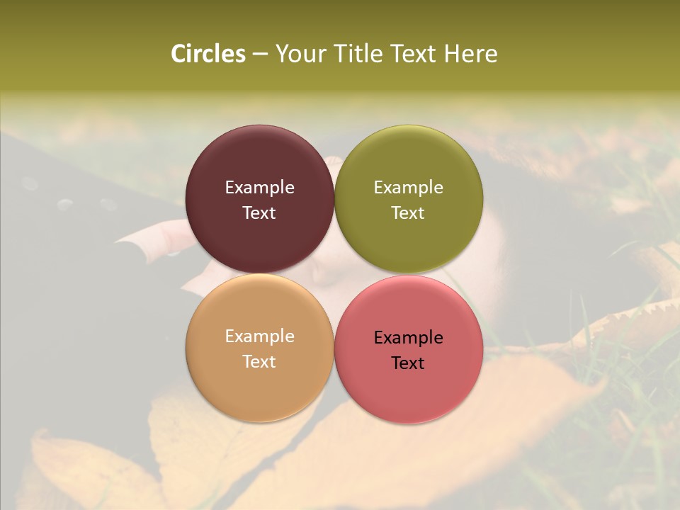 Lifestyles Clothing Maple PowerPoint Template