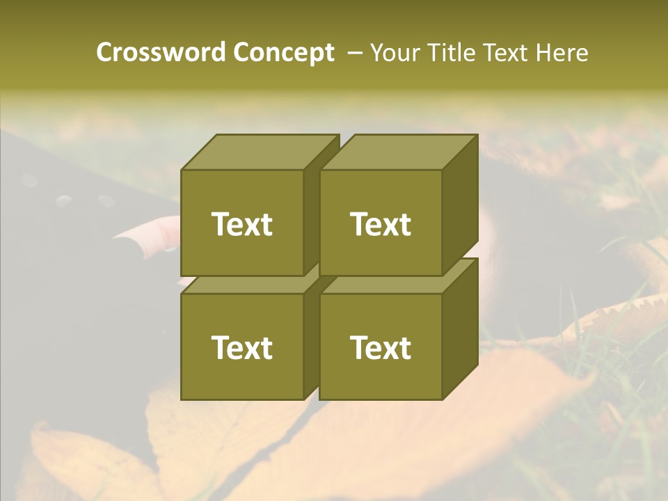 Lifestyles Clothing Maple PowerPoint Template
