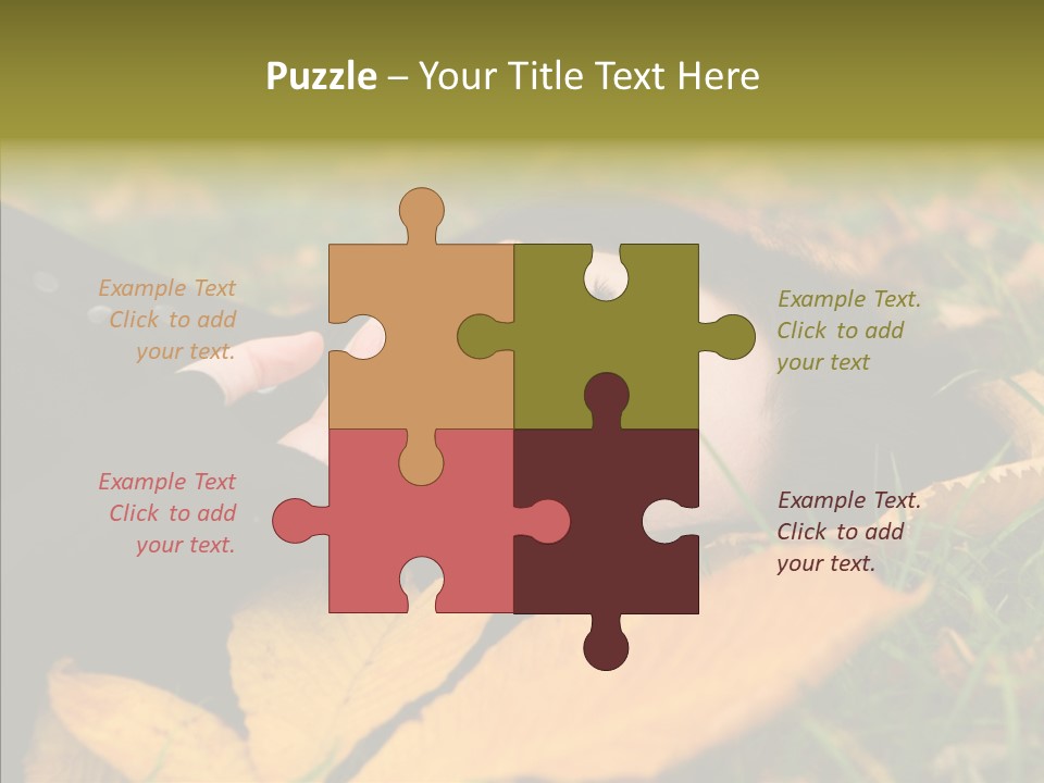 Lifestyles Clothing Maple PowerPoint Template