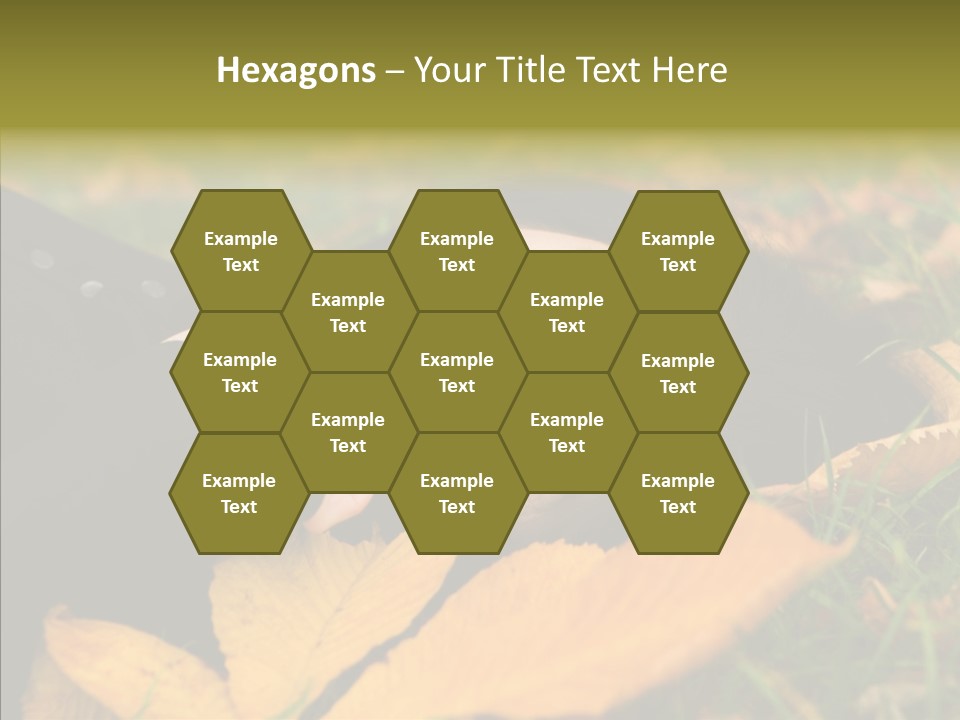 Lifestyles Clothing Maple PowerPoint Template