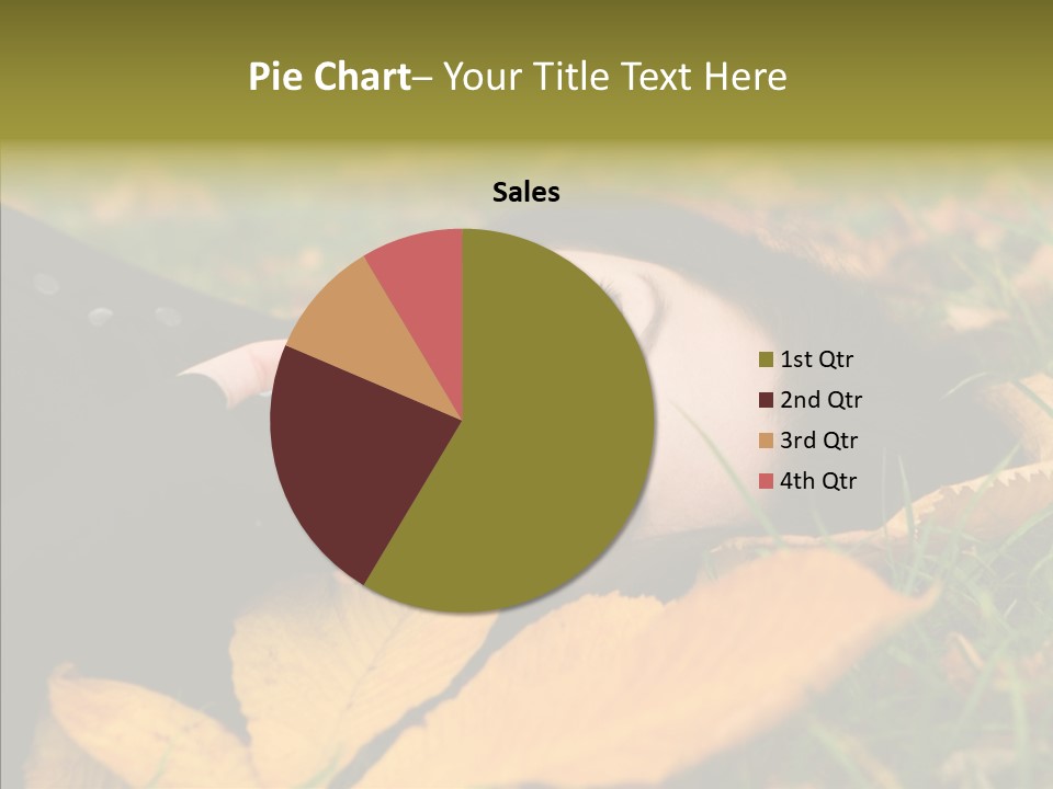 Lifestyles Clothing Maple PowerPoint Template