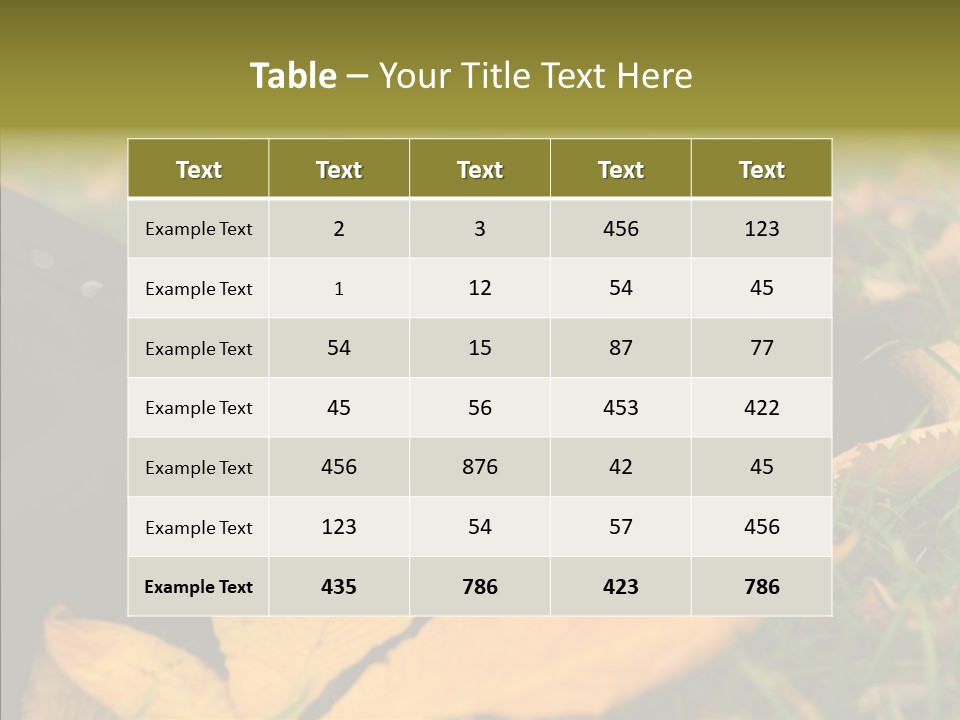 Lifestyles Clothing Maple PowerPoint Template