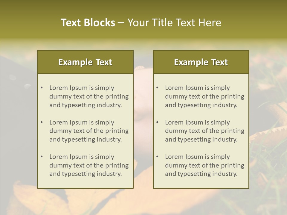 Lifestyles Clothing Maple PowerPoint Template