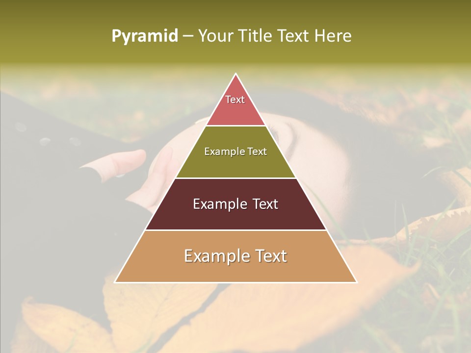 Lifestyles Clothing Maple PowerPoint Template