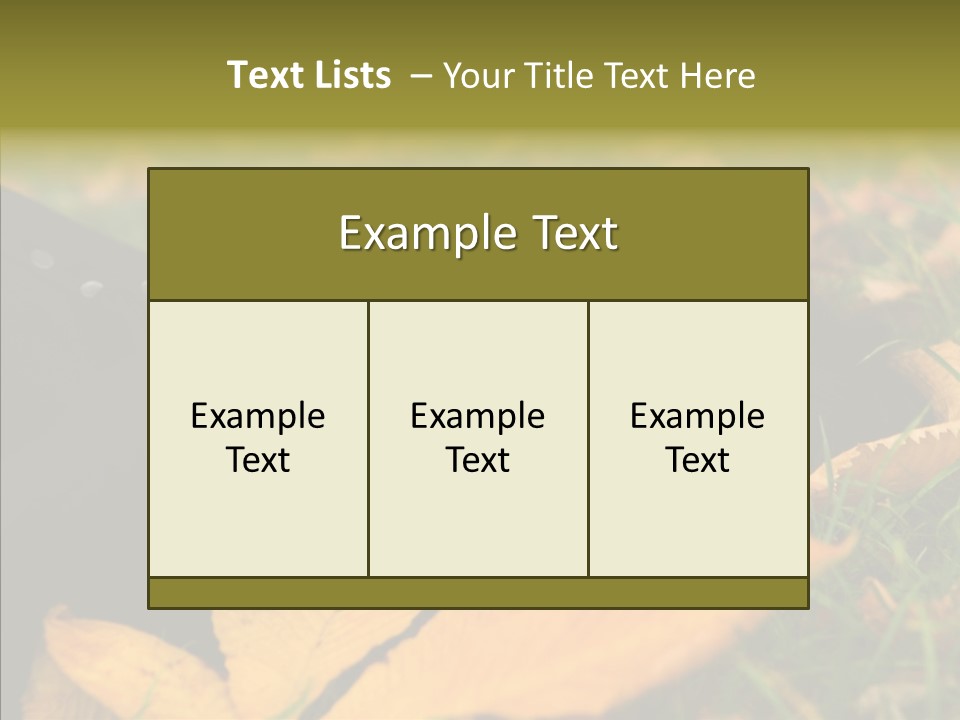 Lifestyles Clothing Maple PowerPoint Template
