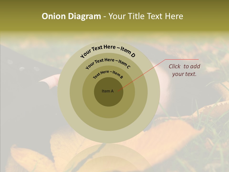 Lifestyles Clothing Maple PowerPoint Template