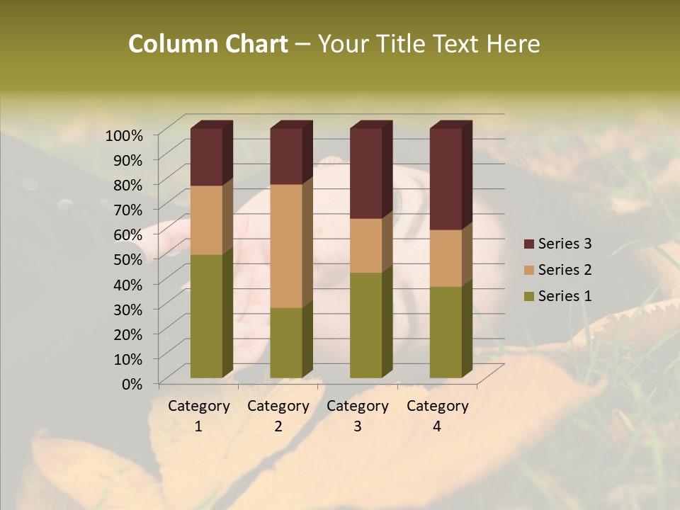Lifestyles Clothing Maple PowerPoint Template