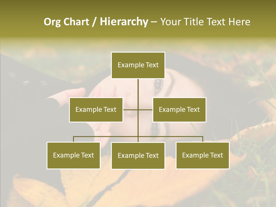 Lifestyles Clothing Maple PowerPoint Template